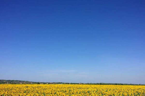 Honest Opinion: Is This Screen-Free Interactive Science Explorer Kit the Best for Curious Kids Ages 5-10? - Product Review