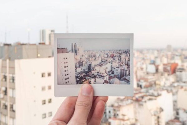 Instant Pot Vortex Plus vs. Ninja Foodi Smart XL: In-Depth Air Fryer Comparison & Performance Review (2024 Trends) - Product Review