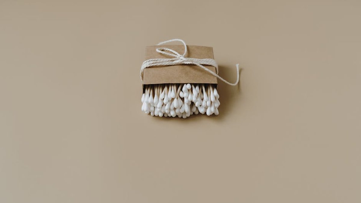 LastSwab Reusable Cotton Swab Review: My Honest Take on This Zero-Waste Swap - Product Review