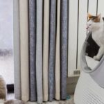 Litter-Robot 4 vs. PetKit Pura X: Which Smart Litter Box Offers the BEST Odor Control & Convenience for USA Cat Owners? - Product Review