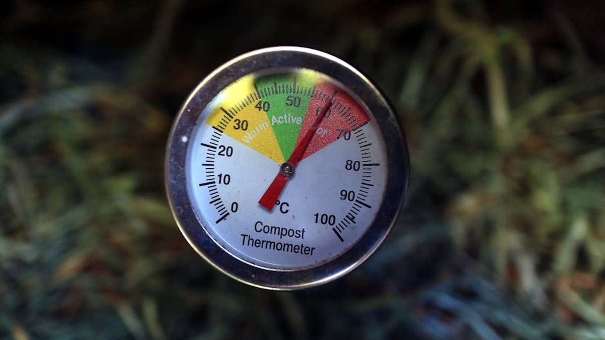 Lomi Composter vs. Vitamix FoodCycler: The Best Electric Kitchen Composter for USA Homeowners - Product Review