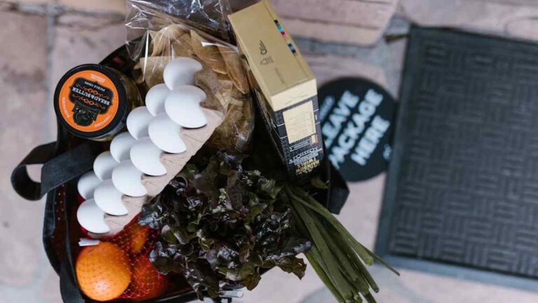 Lotus Produce Bags Review: Ending Single-Use Plastic at Every American Grocery Store Trip