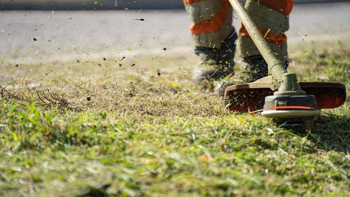 Manscaped The Lawn Mower 4.0 Review: Does America's Favorite Groin Trimmer Live Up to the Hype? - Product Review