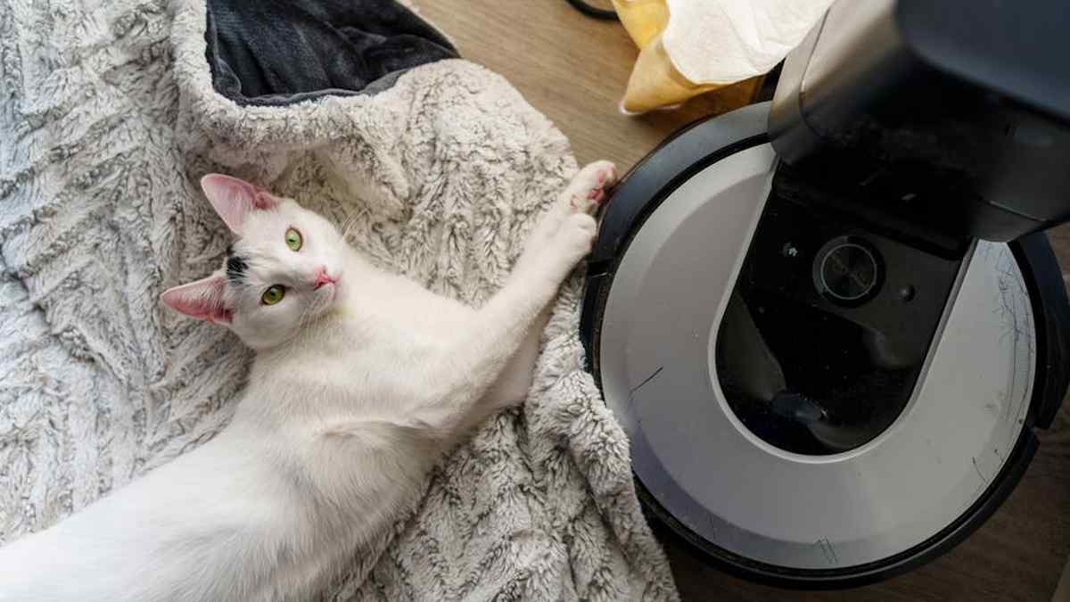 My Honest Review: Is the Viral Cordless Handheld Vacuum for Pet Hair a Must-Have for USA Homeowners? - Product Review