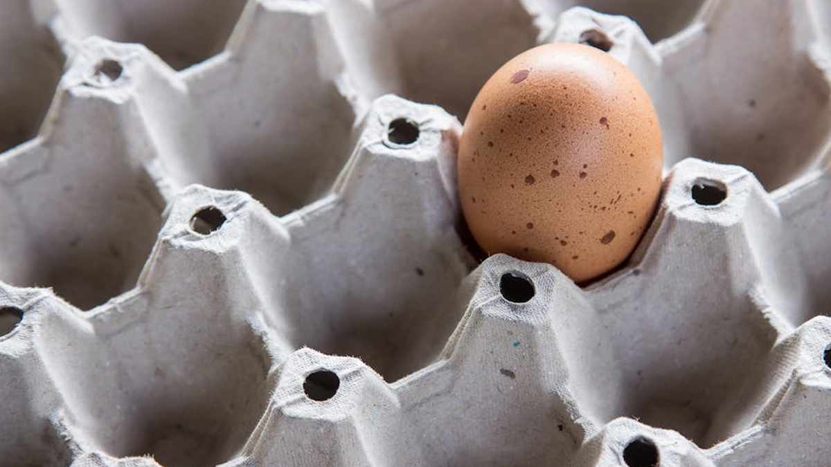 My Honest Take on the FlexiShelf Pro Smart Pantry System: The Ultimate Kitchen Organizer for US Families? - Product Review