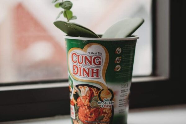 Ninja Foodi Smart XL Grill vs. Instant Pot Duo Crisp Ultimate: Solving Your Small Kitchen Space Dilemma in USA - Product Review