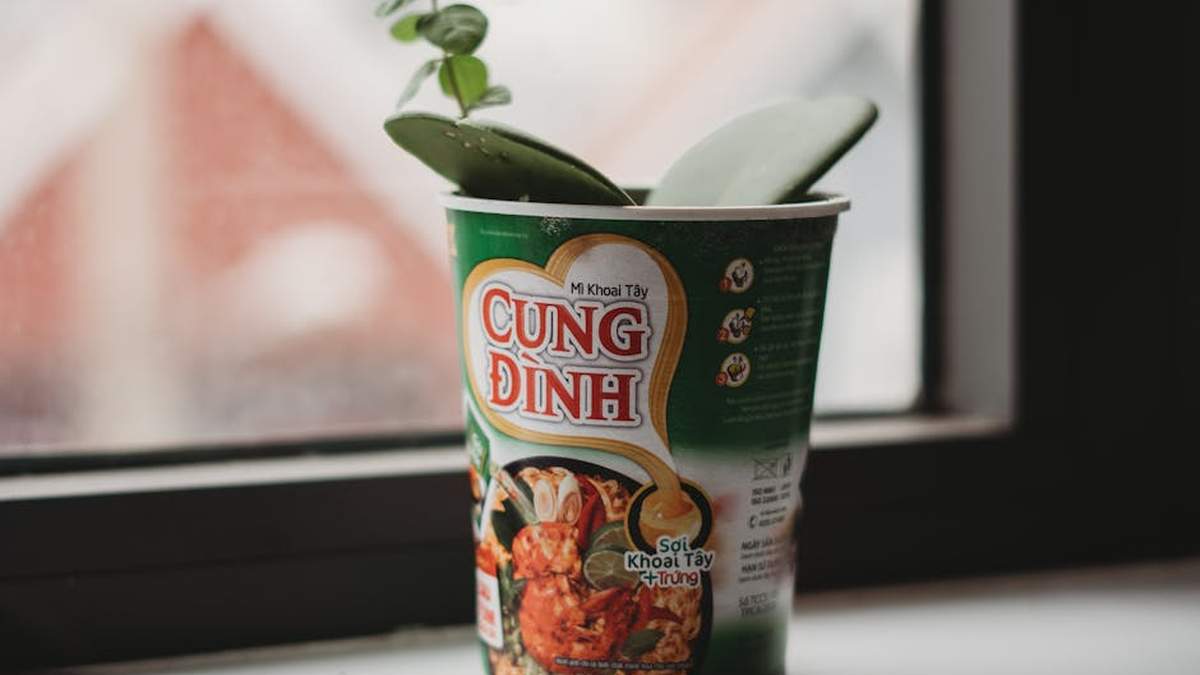 Ninja Foodi Smart XL Grill vs. Instant Pot Duo Crisp Ultimate: Solving Your Small Kitchen Space Dilemma in USA - Product Review