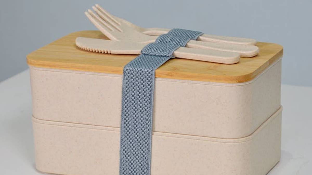 OmieBox Bento Box Review: Does This Insulated Lunchbox Keep Meals Warm for US School Kids? - Product Review