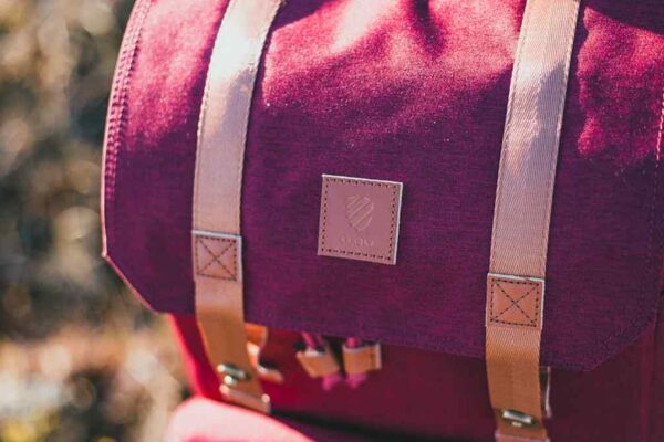 Osprey Farpoint 40 vs. Nomatic Travel Bag 40L: Which Carry-On Backpack is Best for USA Travelers? - Product Review