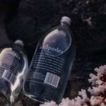 Owala FreeSip Water Bottle Review: Is This Sustainable Hydration Worth the Hype? - Product Review