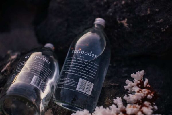 Owala FreeSip Water Bottle Review: Is This Sustainable Hydration Worth the Hype? - Product Review