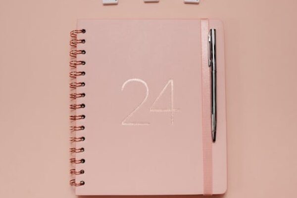 Panda Planner vs. Full Focus Planner: Which Productivity System Boosts US Entrepreneurial Goals in 2024? - Product Review
