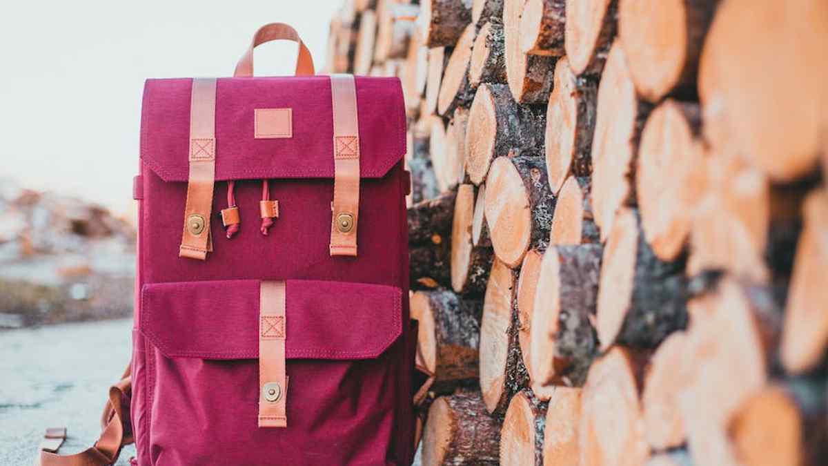 PeakPro Transit 40L Carry-On Backpack Review: Is It the Only Daily-to-Travel Bag You'll Ever Need in the USA? - Product Review
