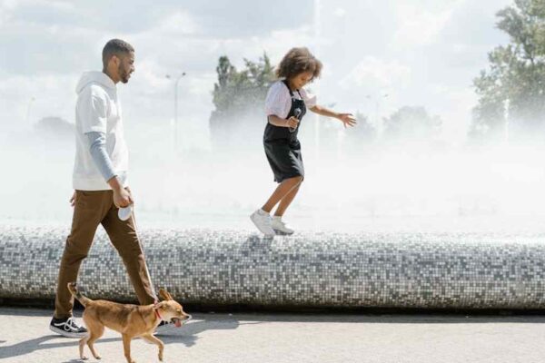 PetSafe Drinkwell Platinum vs. Catit Flower Fountain: Which High-Rated Pet Water Fountain Suits Your US Pet's Needs? - Product Review