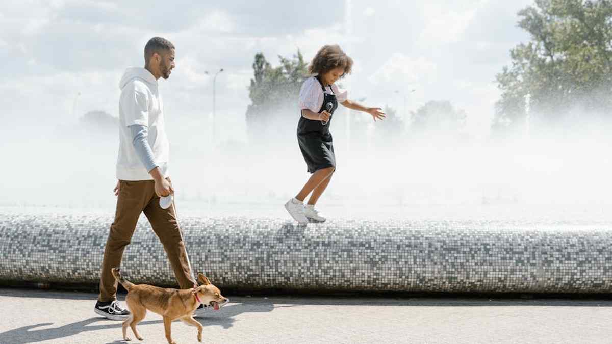 PetSafe Drinkwell Platinum vs. Catit Flower Fountain: Which High-Rated Pet Water Fountain Suits Your US Pet's Needs? - Product Review