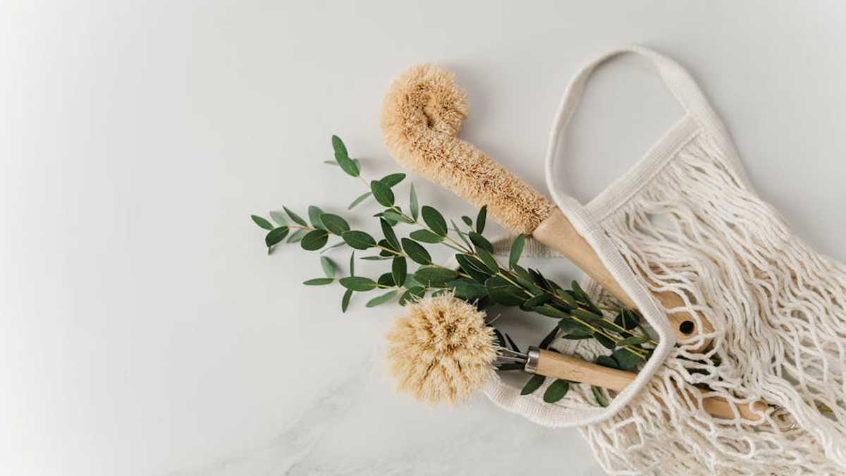 PureDrop Concentrated Cleaning Pods Review: Are These Eco-Friendly Essentials the Future for American Households? - Product Review