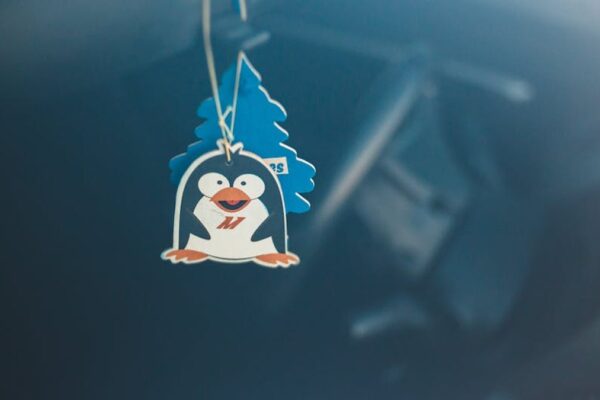 PURGGO Car Air Purifier Review: Eliminating Odors Naturally in Your USA Ride - Product Review