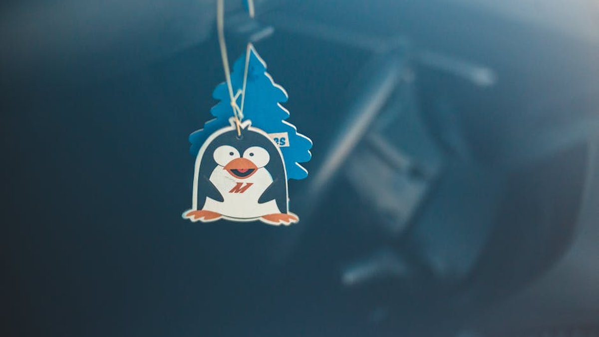 PURGGO Car Air Purifier Review: Eliminating Odors Naturally in Your USA Ride - Product Review