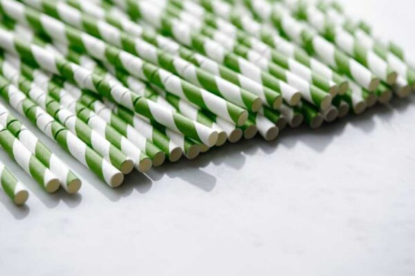 Reusable Paper Towels vs. Compostable Sponges: Which Sustainable Kitchen Essential Wins for US Homes? - Product Review