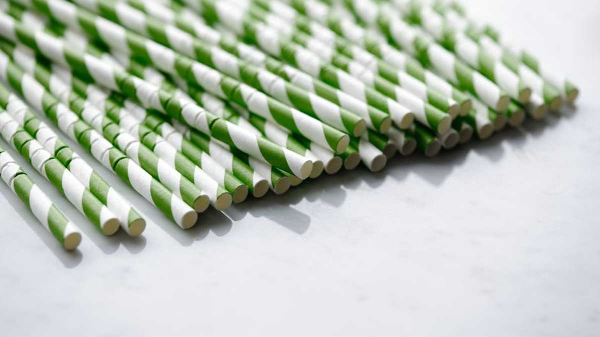 Reusable Paper Towels vs. Compostable Sponges: Which Sustainable Kitchen Essential Wins for US Homes? - Product Review