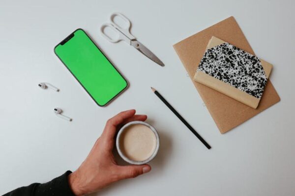 Rothy's The Point vs. Allbirds Tree Breezers: The Most Comfortable Daily Flats for Work & Play - Product Review