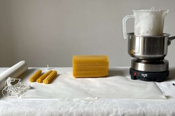 Soy Candles vs. Beeswax: The Healthiest Eco-Friendly Candle Choice for USA Buyers - Product Review