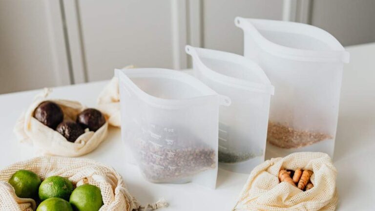 Stasher Bags vs. Bee's Wrap: Best Reusable Food Storage for Your Eco-Kitchen in the USA? - Product Review