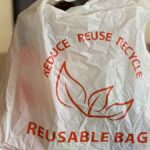 Stasher Reusable Sandwich Bags Review (USA): The Eco-Friendly Switch That Lasts - Product Review
