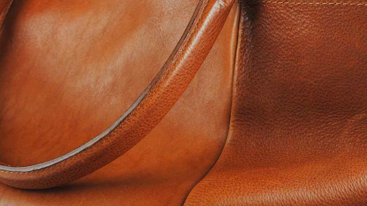 Telfar Shopping Bag Review: Is This 'Bushwick Birkin' Still A Must-Have Fashion Investment In The USA? - Product Review