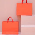 Telfar Shopping Bag vs. Coach Tabby: Which It-Bag Deserves Your Investment in the USA? - Product Review