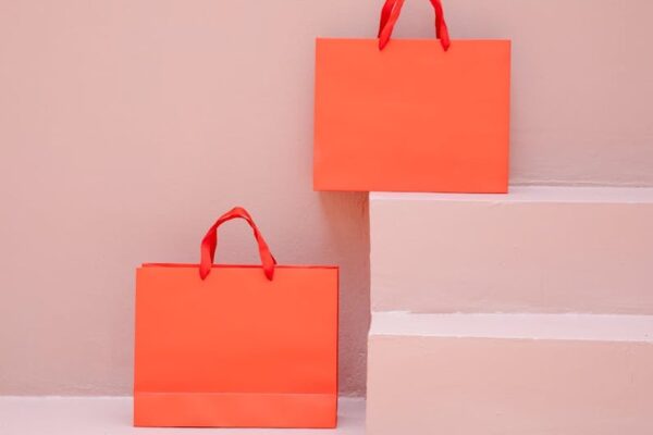 Telfar Shopping Bag vs. Coach Tabby: Which It-Bag Deserves Your Investment in the USA? - Product Review