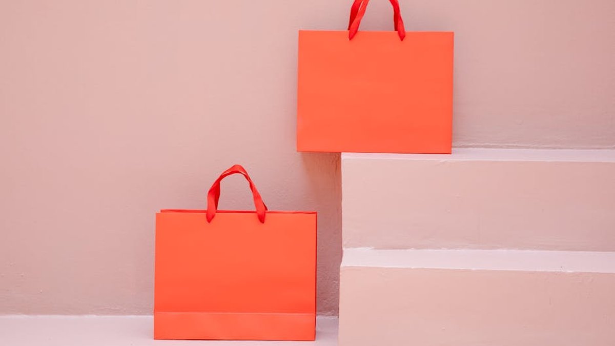 Telfar Shopping Bag vs. Coach Tabby: Which It-Bag Deserves Your Investment in the USA? - Product Review