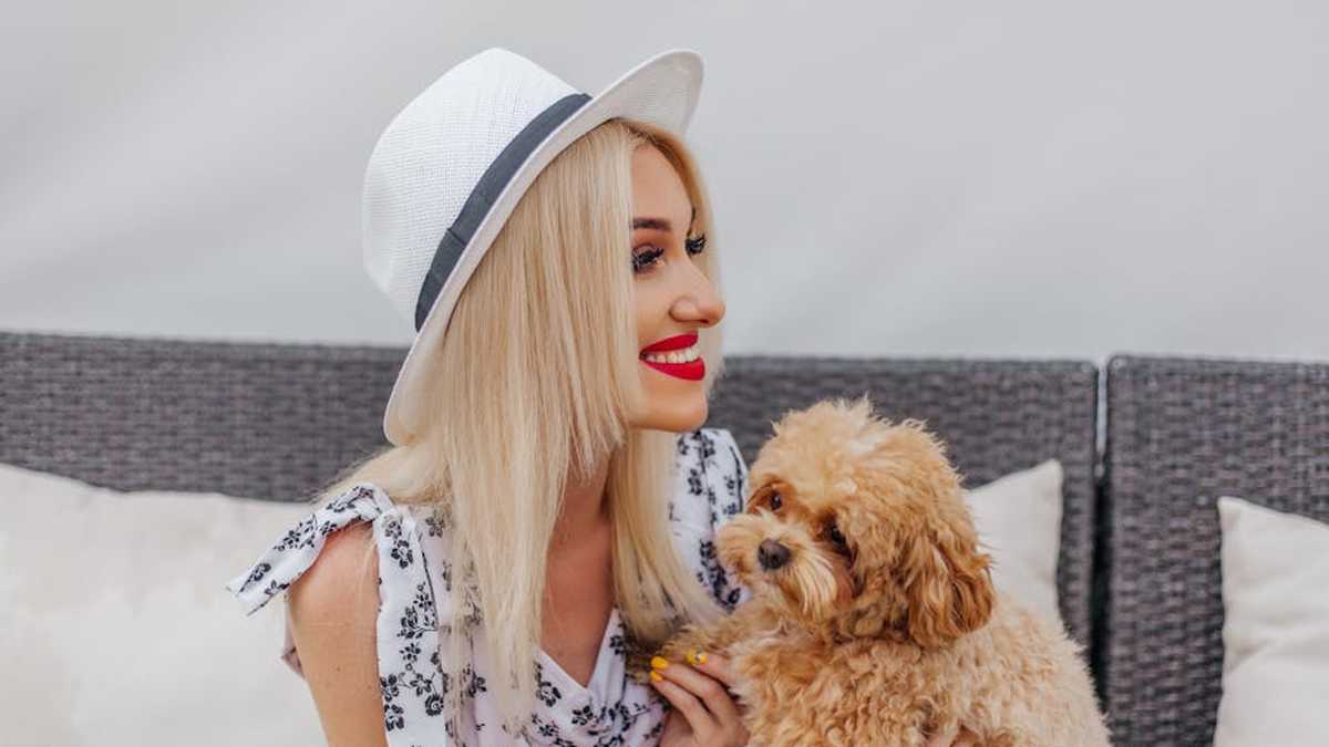 The Perfect Travel Companion? My Review of Amazon's Viral Versatile Travel Dress - Product Review