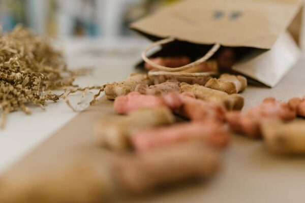 The PetPal Smart Treat Dispenser Review: Is This Amazon Gadget a Game-Changer for Busy USA Dog Owners? - Product Review