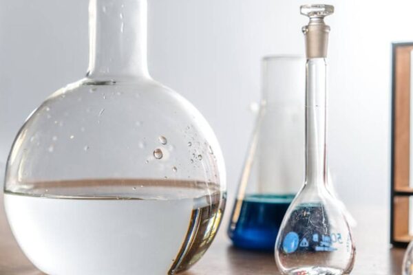 Transparent Labs Bulk Pre-Workout Review: The Jitter-Free Solution for Consistent USA Workouts? - Product Review