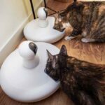 Travel with Peace: A Deep Dive into the SmartFeed Pro Wifi Pet Feeder for Busy American Cat Parents - Product Review