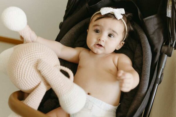 UPPAbaby Vista V2 vs. Nuna MIXX Next: Which Premium Stroller Wins for Urban Families in the USA? - Product Review