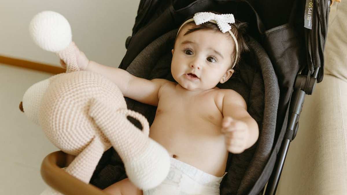 UPPAbaby Vista V2 vs. Nuna MIXX Next: Which Premium Stroller Wins for Urban Families in the USA? - Product Review