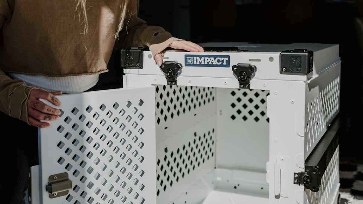 WhisperPaws Ultra-Quiet Pet Nail Grinder Review: The USA's Top Choice for Anxious Pets? - Product Review