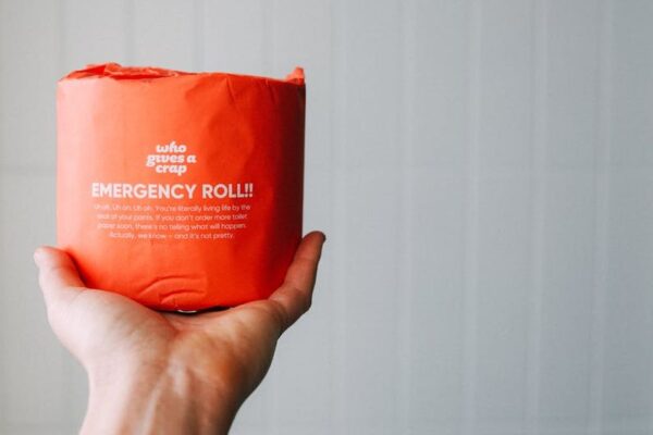 Who Gives A Crap vs. Cloud Paper: Best Sustainable Bamboo Toilet Paper for USA Shoppers? - Product Review